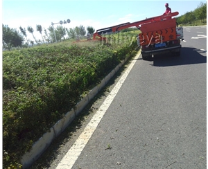 綠籬修剪機(jī)廠家